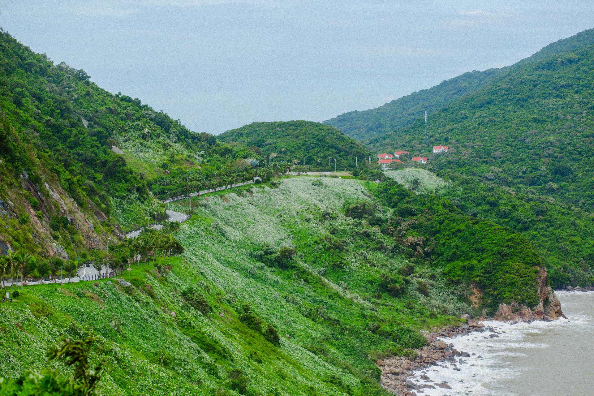 Những Trải Nghiệm Ít Người Biết Nhưng Vô Cùng Thú Vị Tại Đà Nẵng